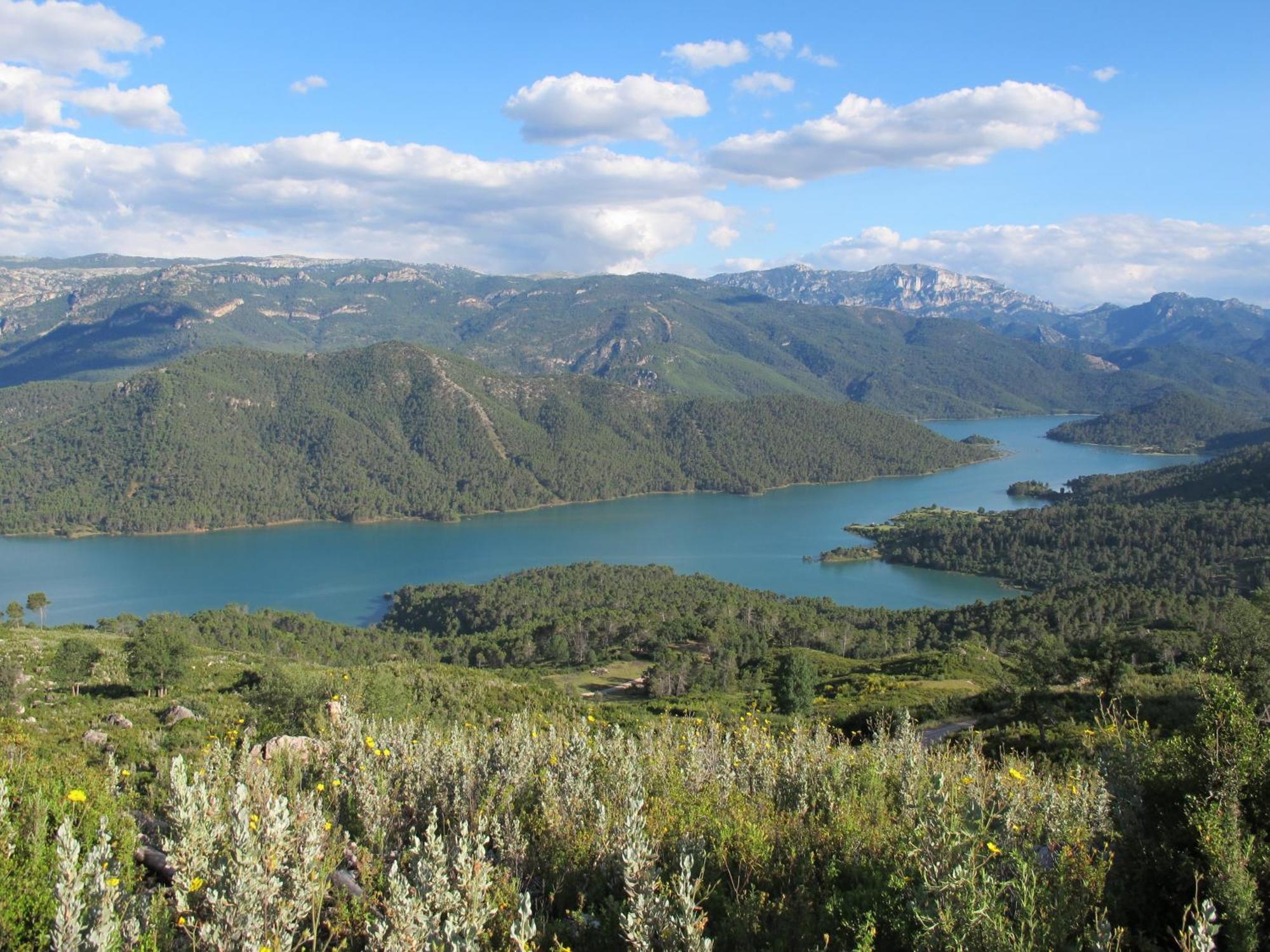 Camping Rural Llanos De Arance Coto Rios Eksteriør bilde